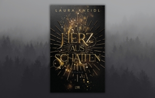 Herz aus Schatten von Laura Kneidl